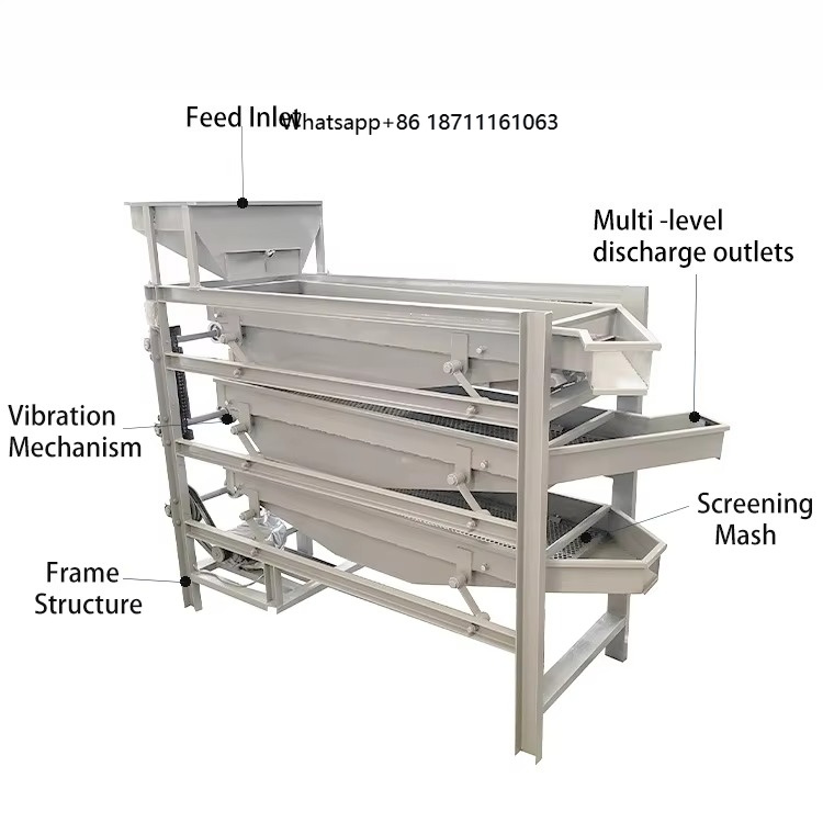 Dried Fruit - China produceert sorteermachines voor gedroogd fruit,