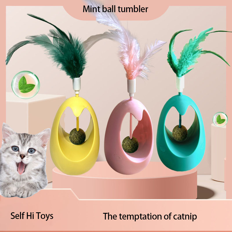 Gezonde kattenkruid interactie - Healthy Snacks Food recensie en prijs